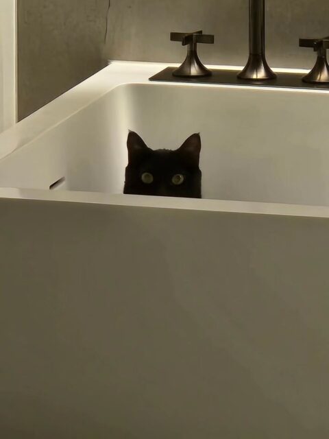 StorySaver.to_629730292_18092509346679912_8656510988900410234_n