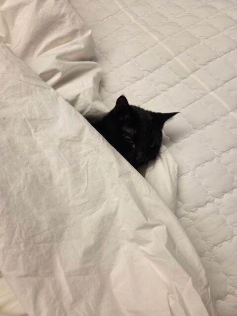 StorySaver.to_632703329_18092509373679912_3934900698508964406_n