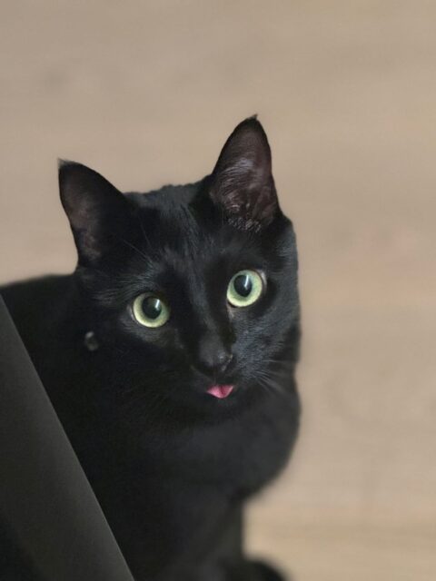 StorySaver.to_632929801_18092509364679912_6781665776486023362_n