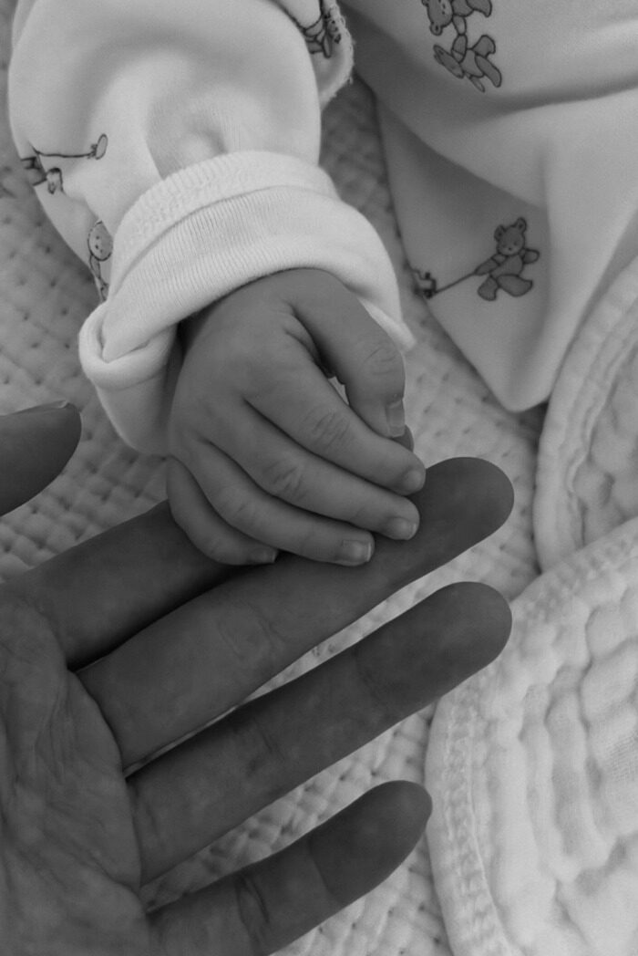 download - 2026-02-10T231423.009