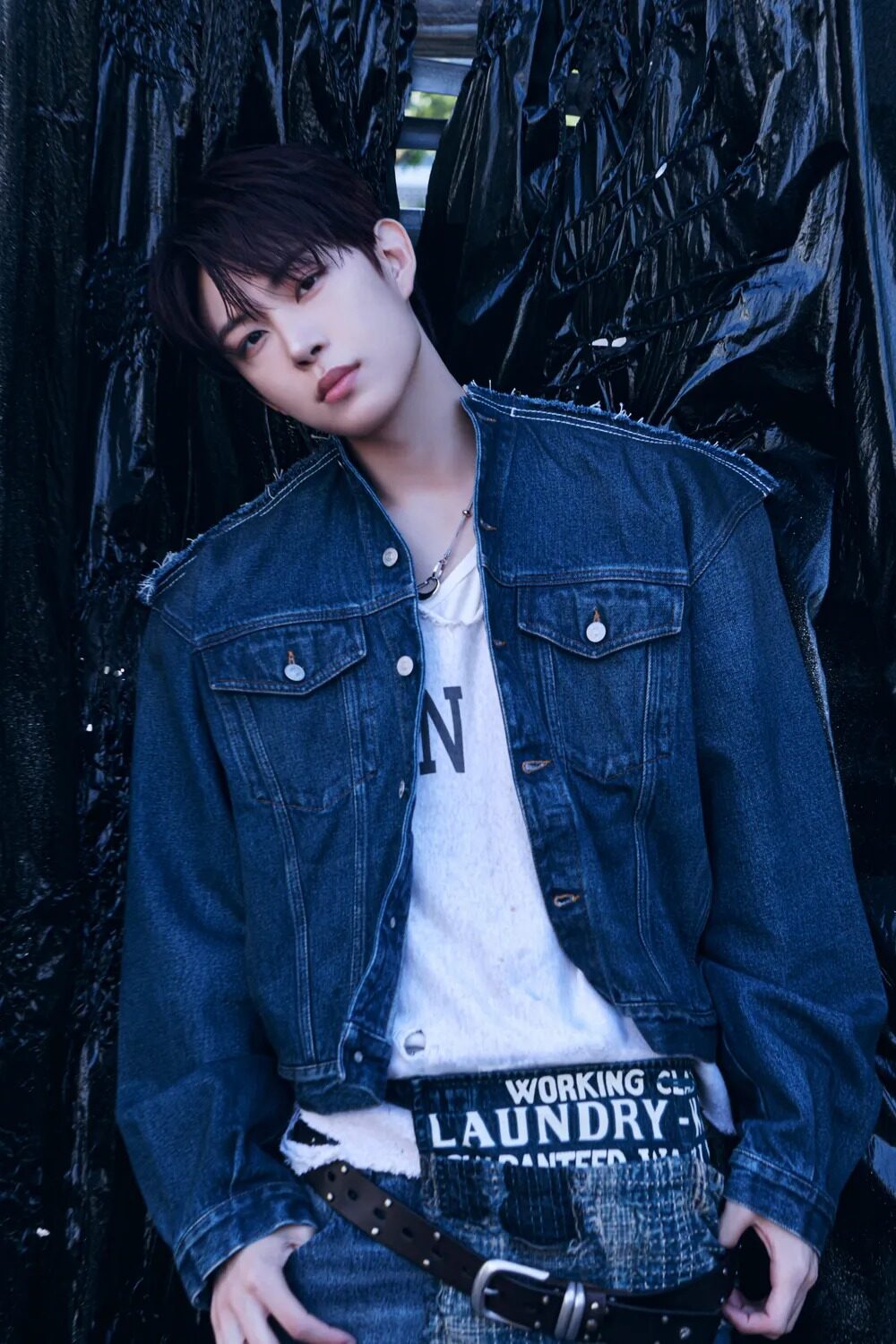 download - 2026-02-14T042328.610