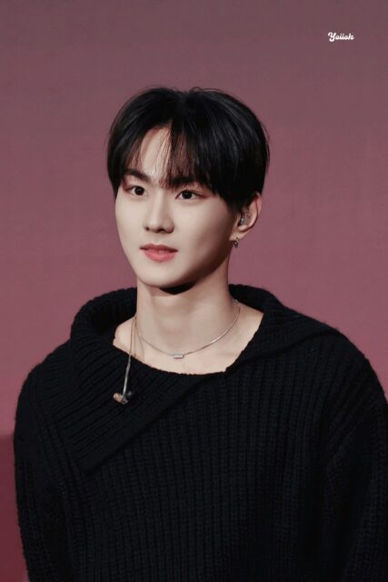 jungwon enhypen fansite