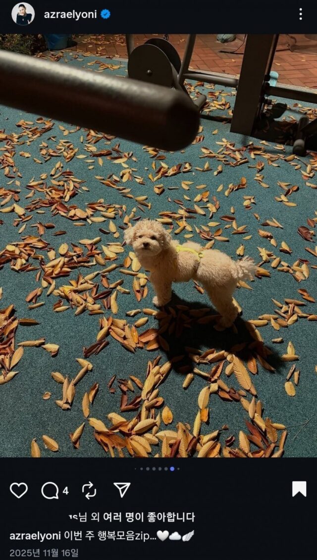 pannapp_2026-02-04_02_21_26-1