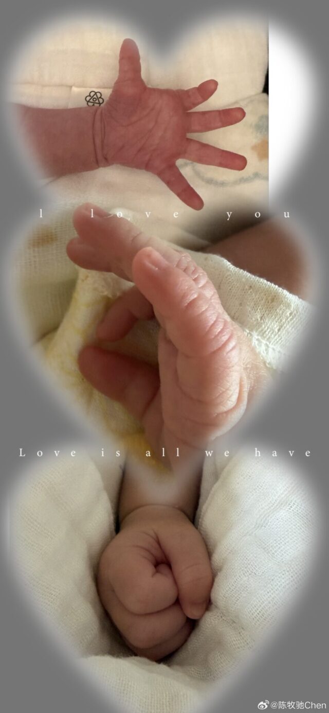 006doq2cly1ibmu9dkiazj31fr3404qp