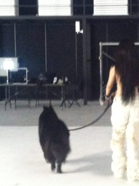 StorySaver.to_657257859_17989668647987300_5024904821317045423_n