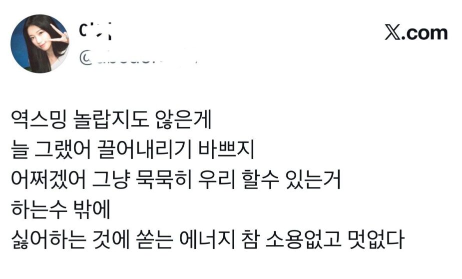 bts fan tweet theqoo 1