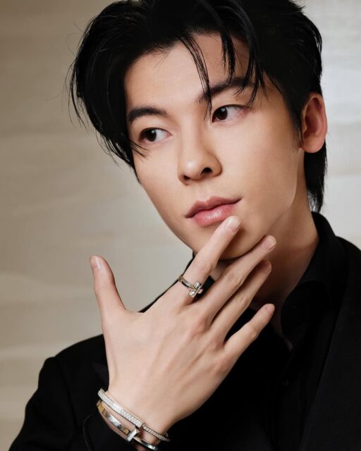 SnapInsta-Ai_3256796348825330671