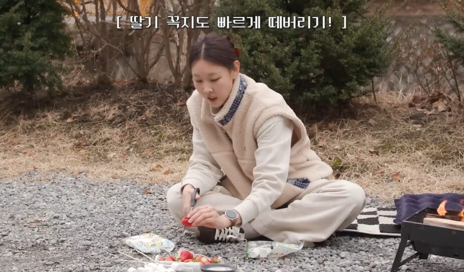 Han Hye Jin 2