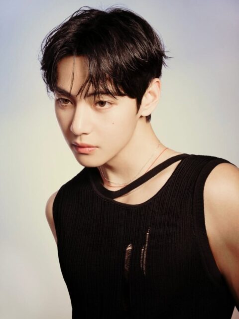 bts thv