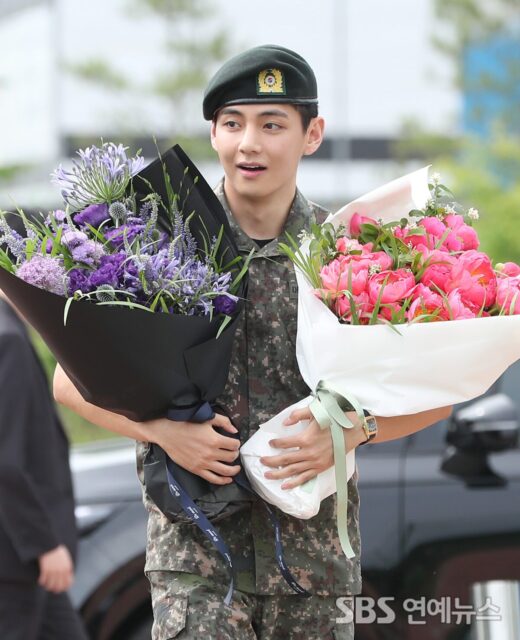 bts v army