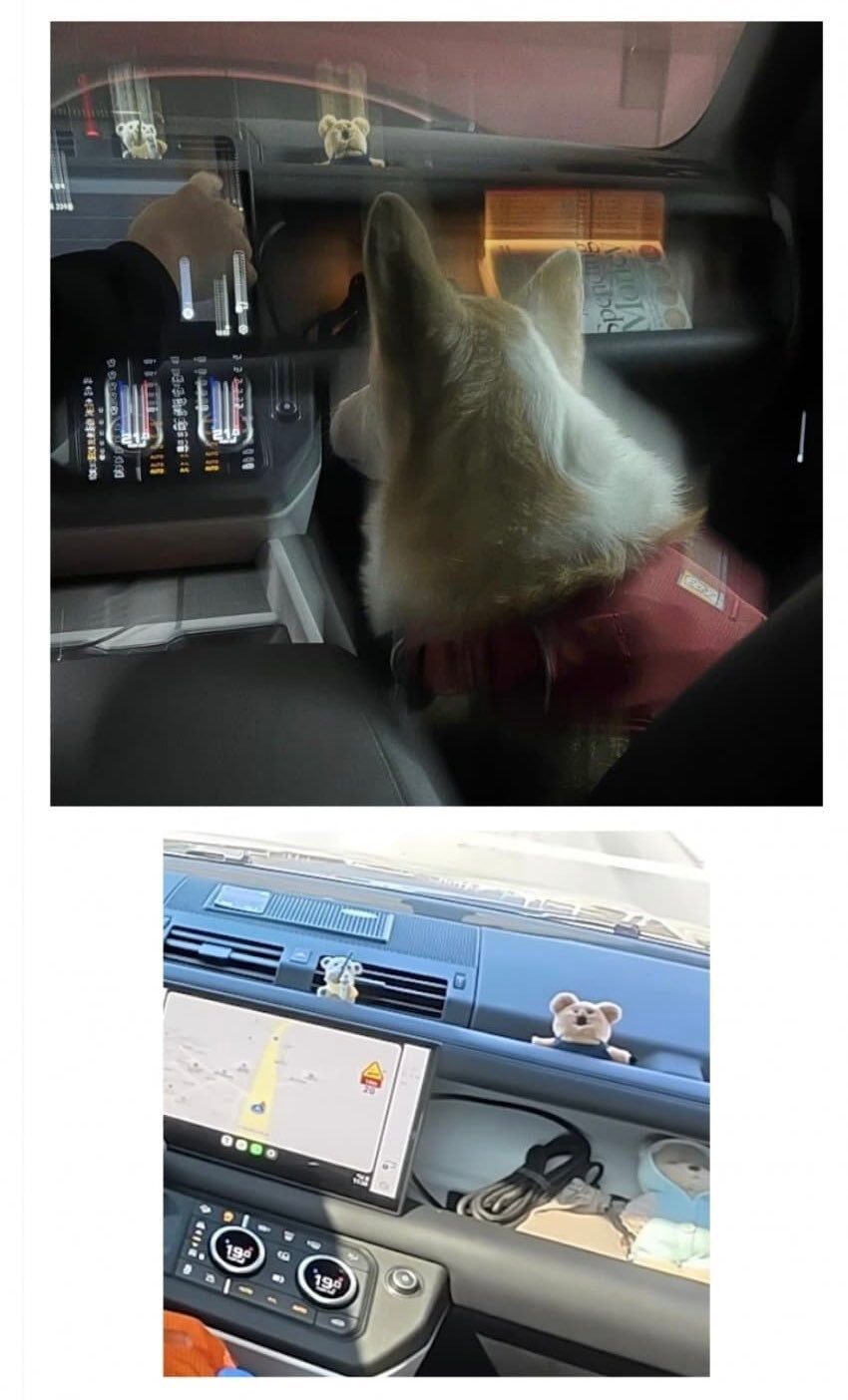 dowoon car