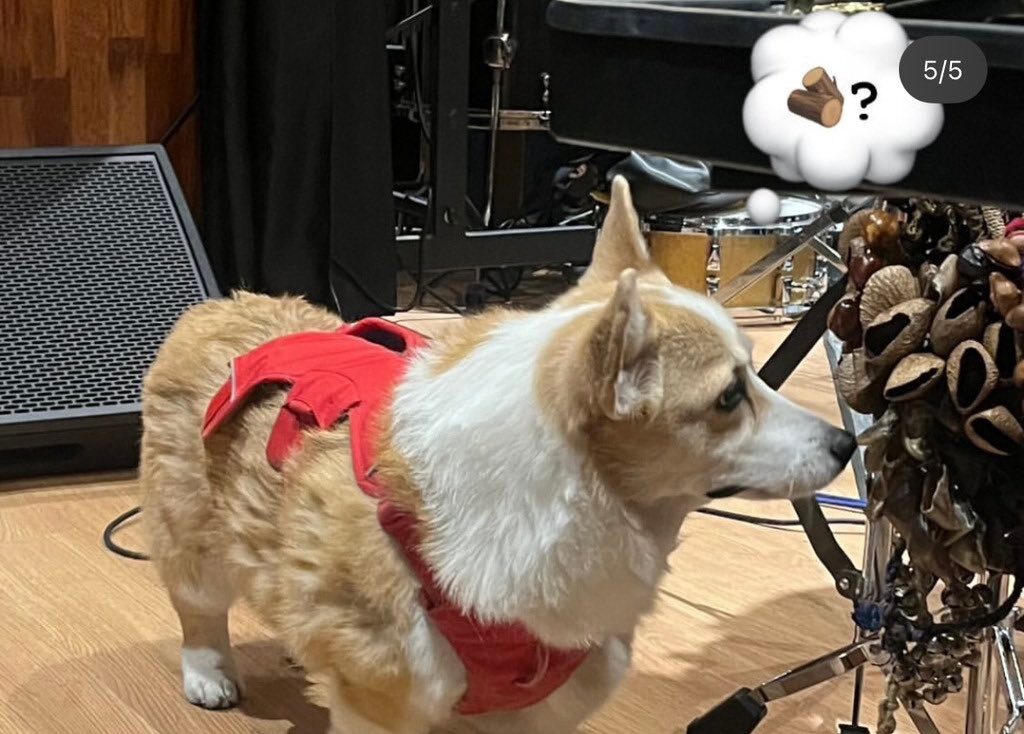 dowoon re