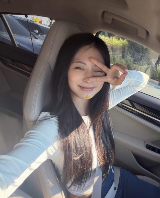 TWICE’s Tzuyu Embroiled In Shocking Engagement Rumors插图3 tzuyu car