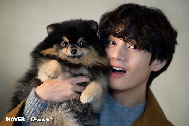 v yeontan