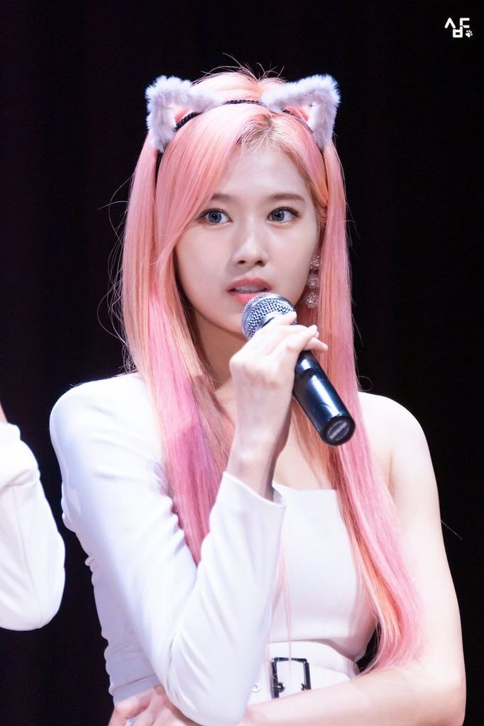 sana cat ears