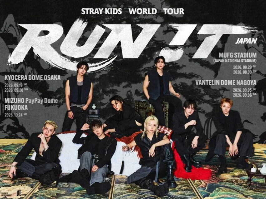 Stray Kids Concert: Multiple Falls Raise Major Safety Concerns