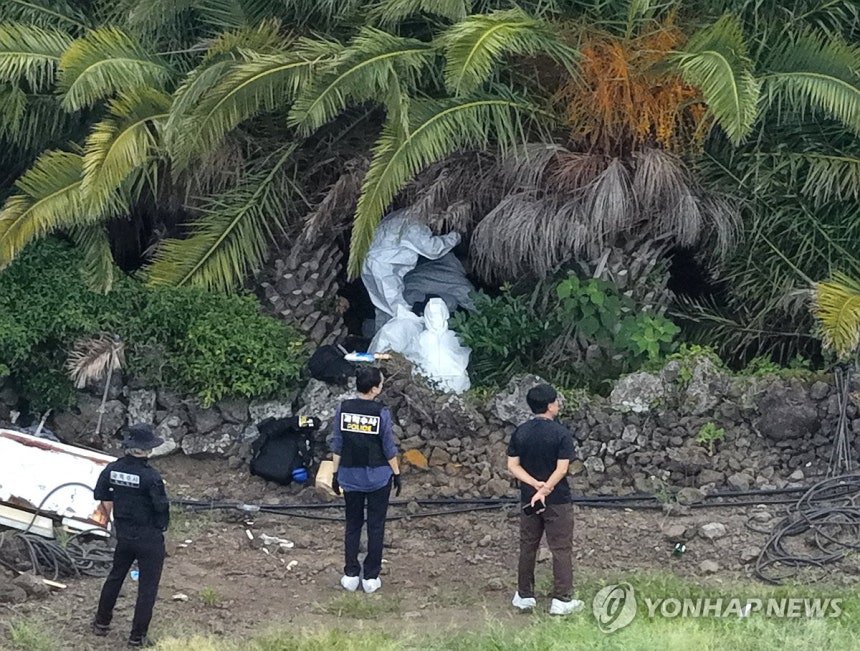 WTF Is Happening In Jeju Island?— Four Dead Bodies Discovered In Three Days插图2 HQhdyHtWkAA4G8X