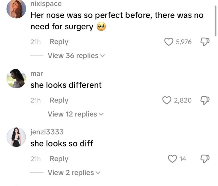 BLACKPINK Lisa’s Visuals Linked To Plastic Surgery Allegations Criticized During Anniversary Live插图4 IMG_9714 (1)