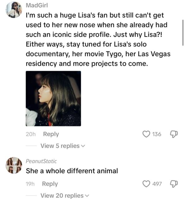 BLACKPINK Lisa’s Visuals Linked To Plastic Surgery Allegations Criticized During Anniversary Live插图7 IMG_9715 (1)