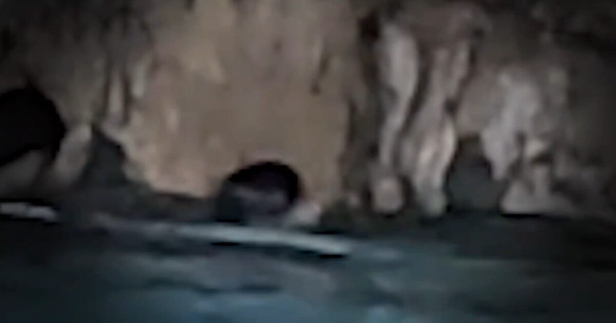 K-Pop Star Rescues Woman From Drowning In Cave