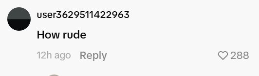 Gallery - Viral Clip Of BLACKPINK Lisa's "Rude" Behavior Sparks Heated Debate - Koreaboo - image 3